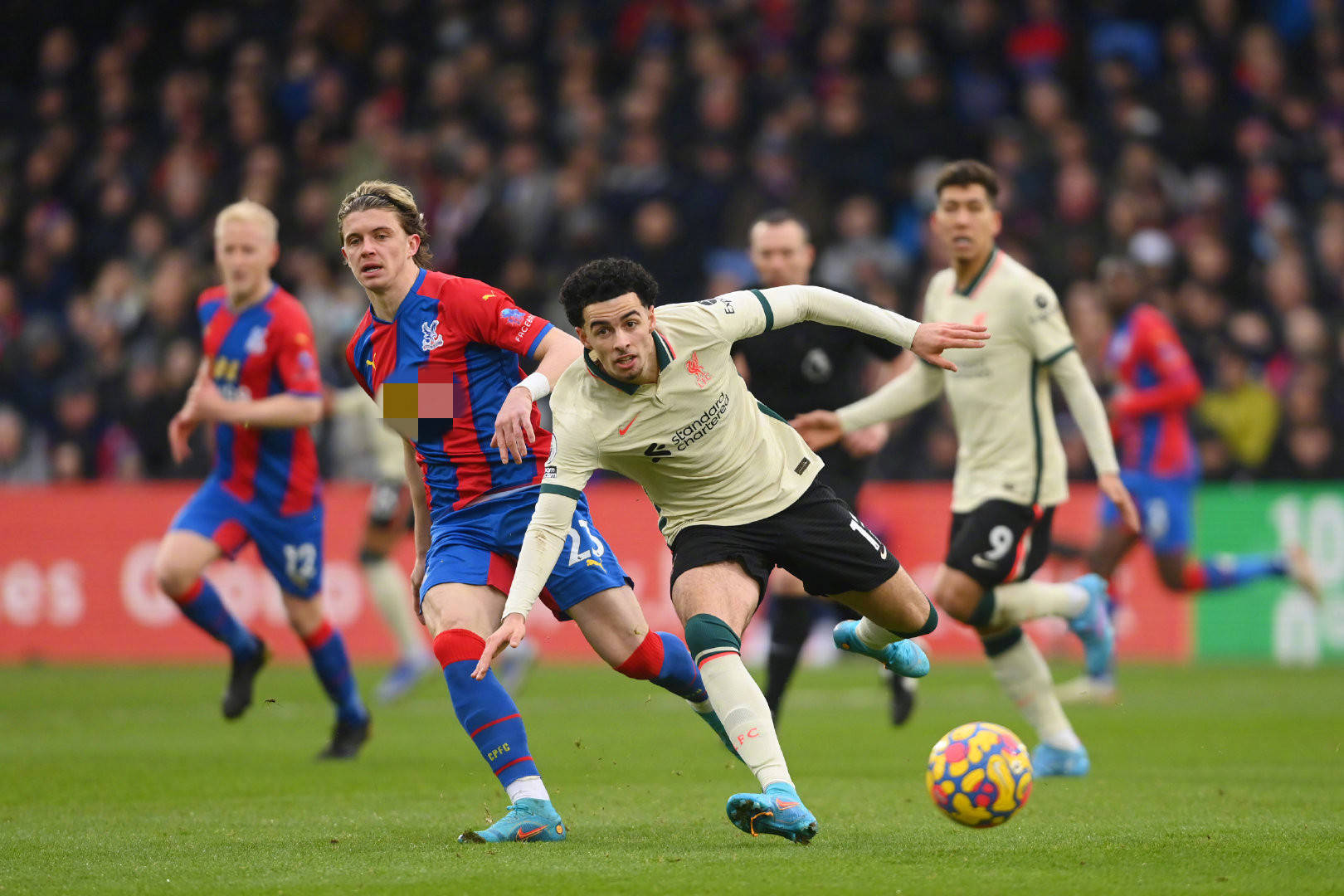 但与俱乐部 但与俱乐部